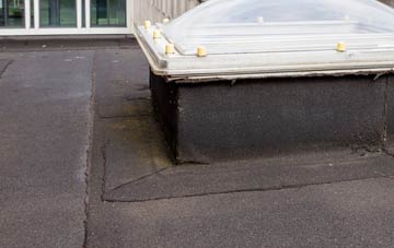 disadvantages of Llwyneinion flat roofs