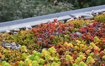 the cost of Llwyneinion green roof installation