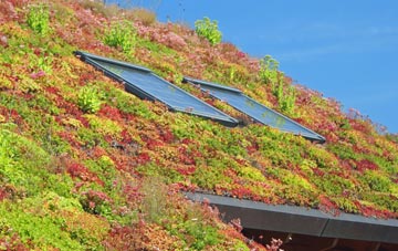 Llwyneinion living roof systems