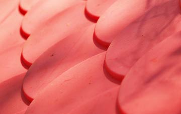 Llwyneinion plastic roof costs