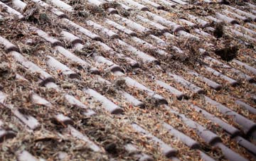 Llwyneinion roof cleaning companies