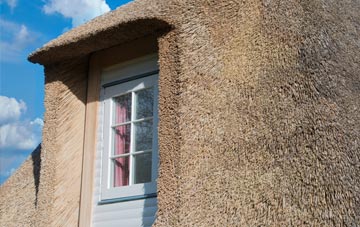 Llwyneinion thatch roof disadvantages