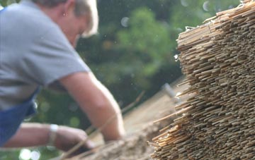 professional Llwyneinion thatchers