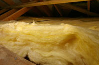 Llwyneinion pitch roof insulation